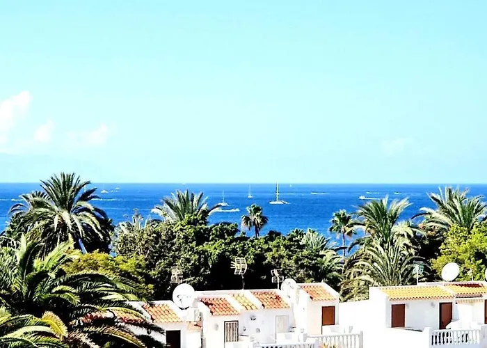 Agaves Ocean View